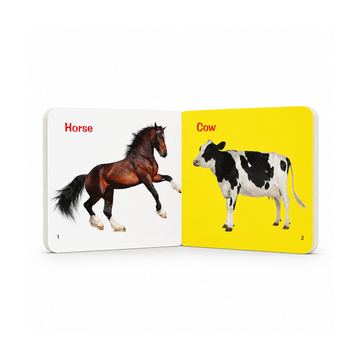 Little Scholarz Domestic Animals board book inside pages showing common pet and farm animals