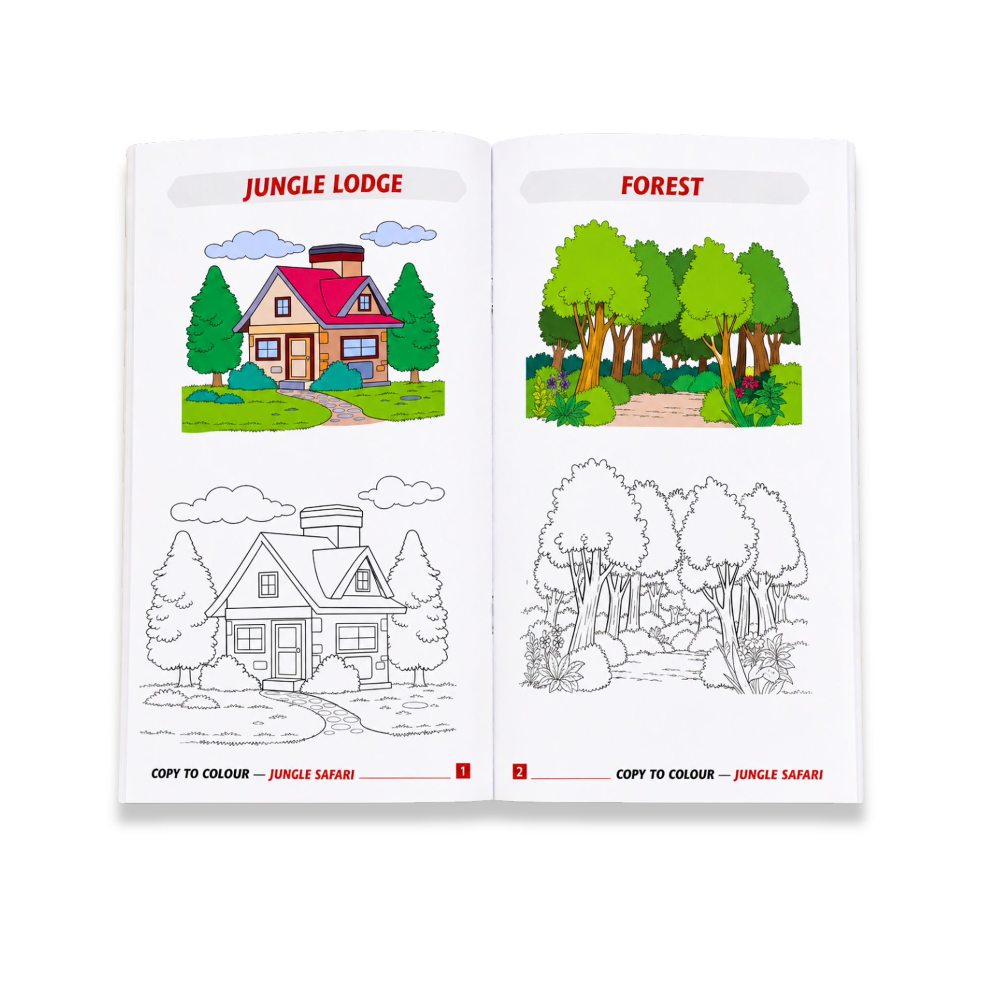 Jungle Safari Copy to Colour Book for Kids