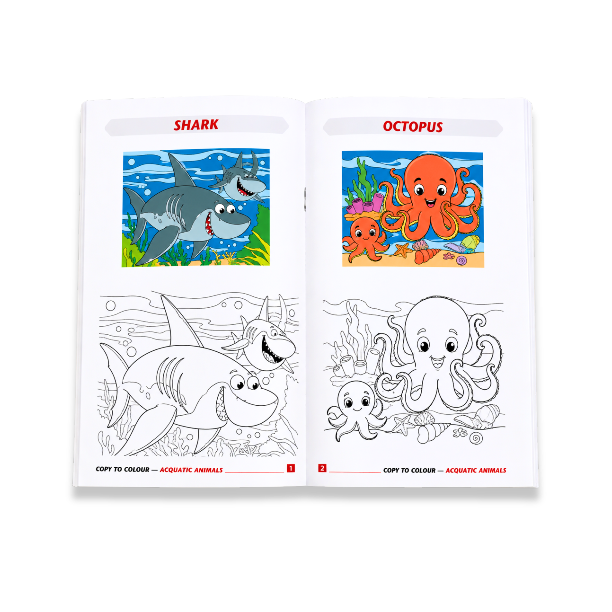 Aquatic Animals Copy to Colour Book for Kids