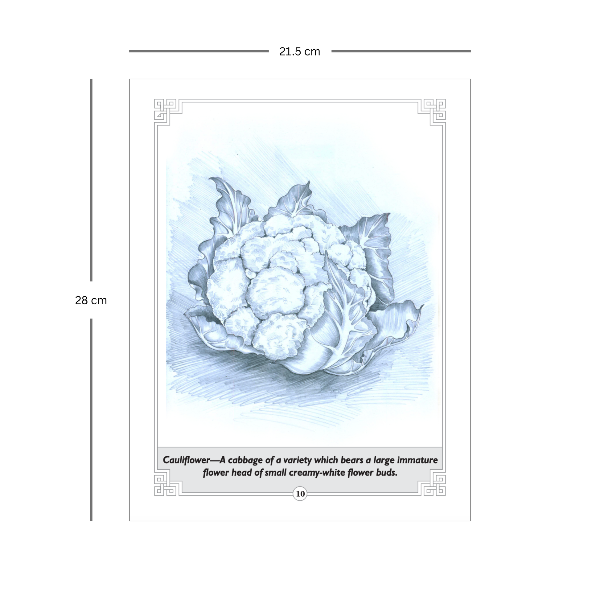 FRUITS AND VEGETABLES- Learn Pencil Shading Portraits