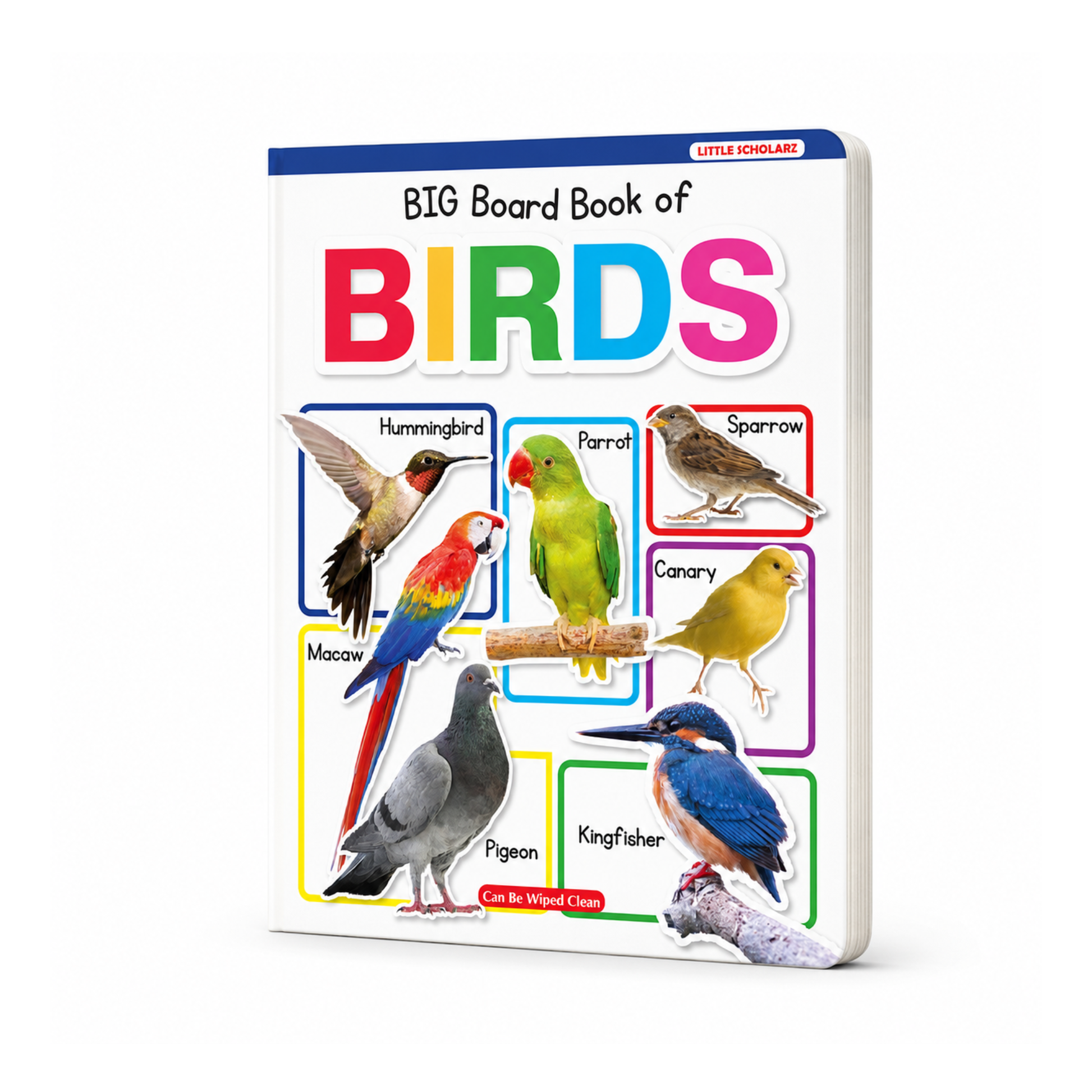 Big Board Book of Birds by Little Scholarz — birds learning board book for toddlers showing parrot canary pigeon kingfisher and more