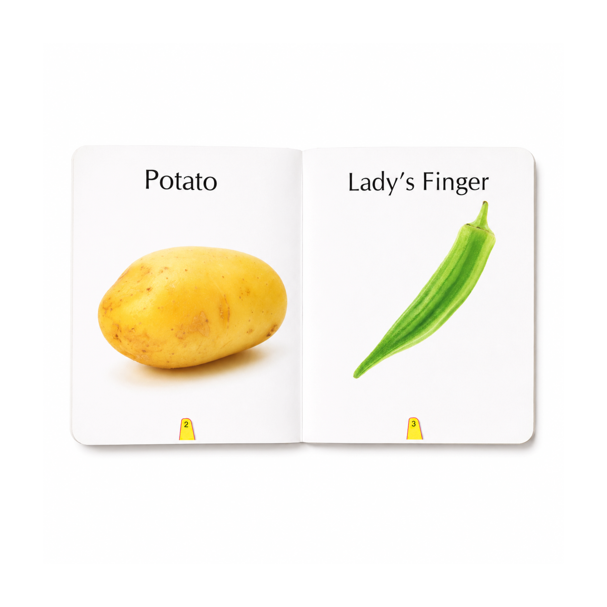 Big Board Book of Vegetables inside pages showing potato and lady's finger with real-life images for early learning