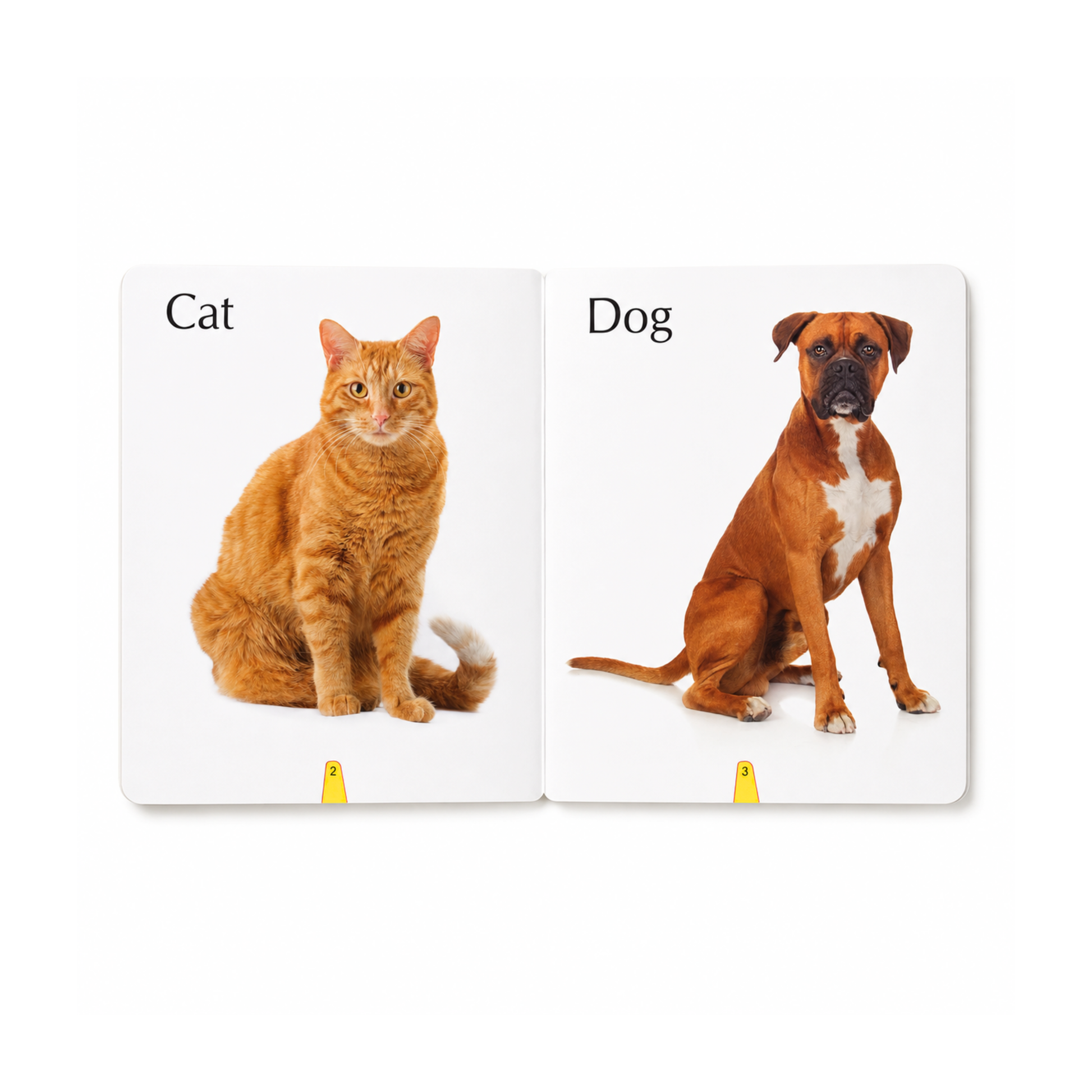Big Board Book of Domestic Animals inside pages showing cat and dog with real-life images for early learning