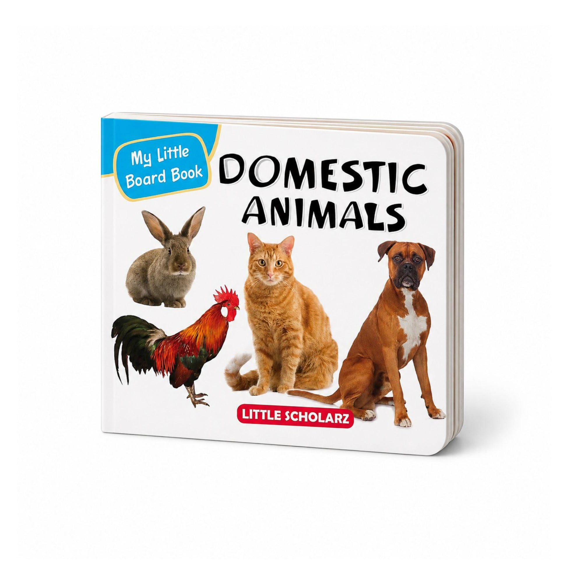 My Little Board Book of Domestic Animals