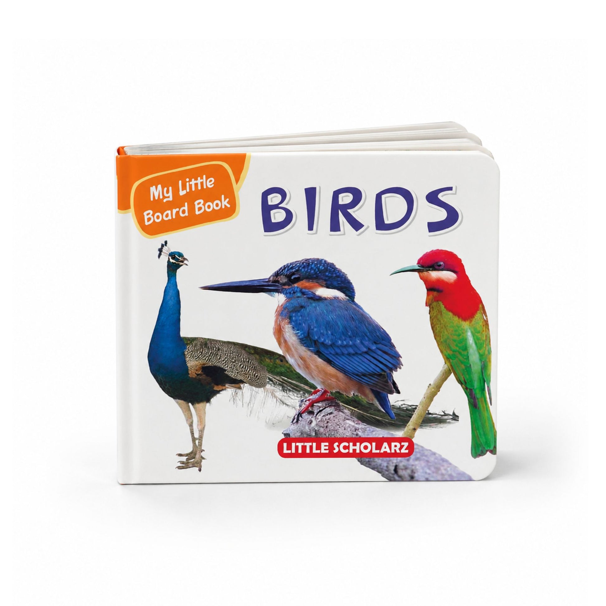 My Little Board Book of Birds