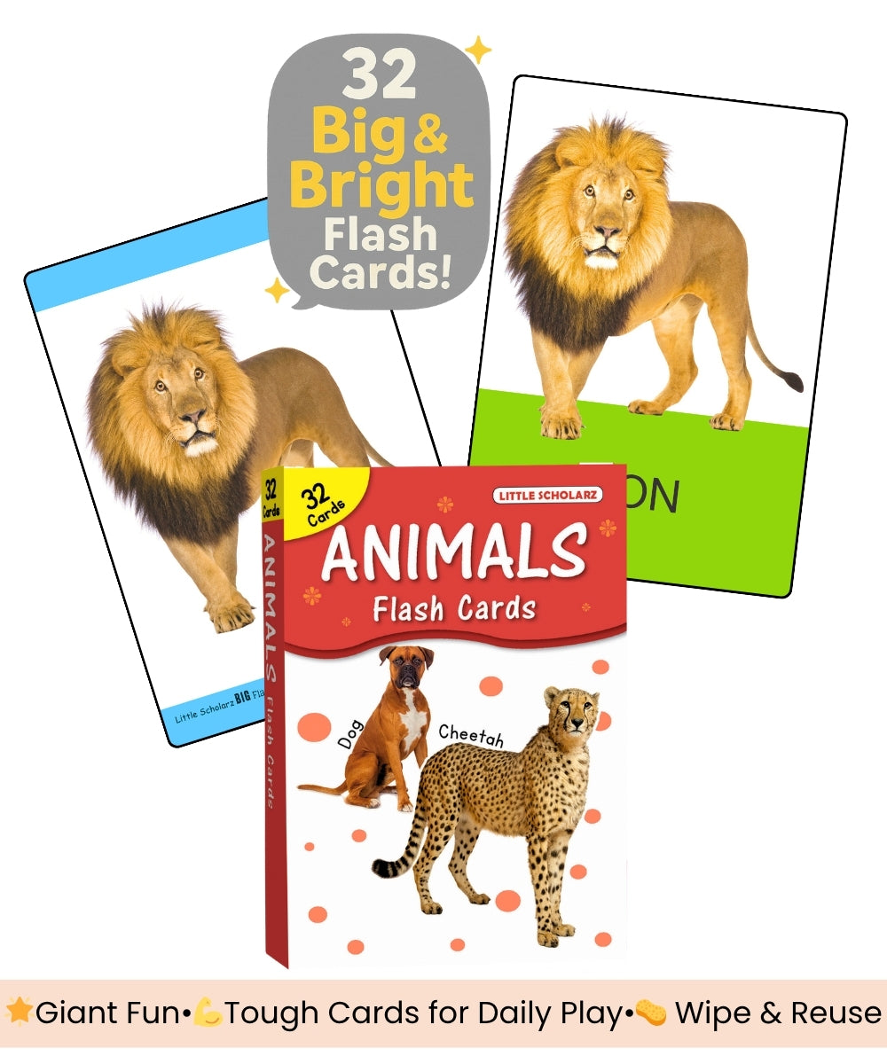 Set of animal flashcards with a lion on one card and a book titled 'Animals Flash Cards' on a white background.