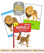 Set of animal flashcards with a lion on one card and a book titled 'Animals Flash Cards' on a white background.
