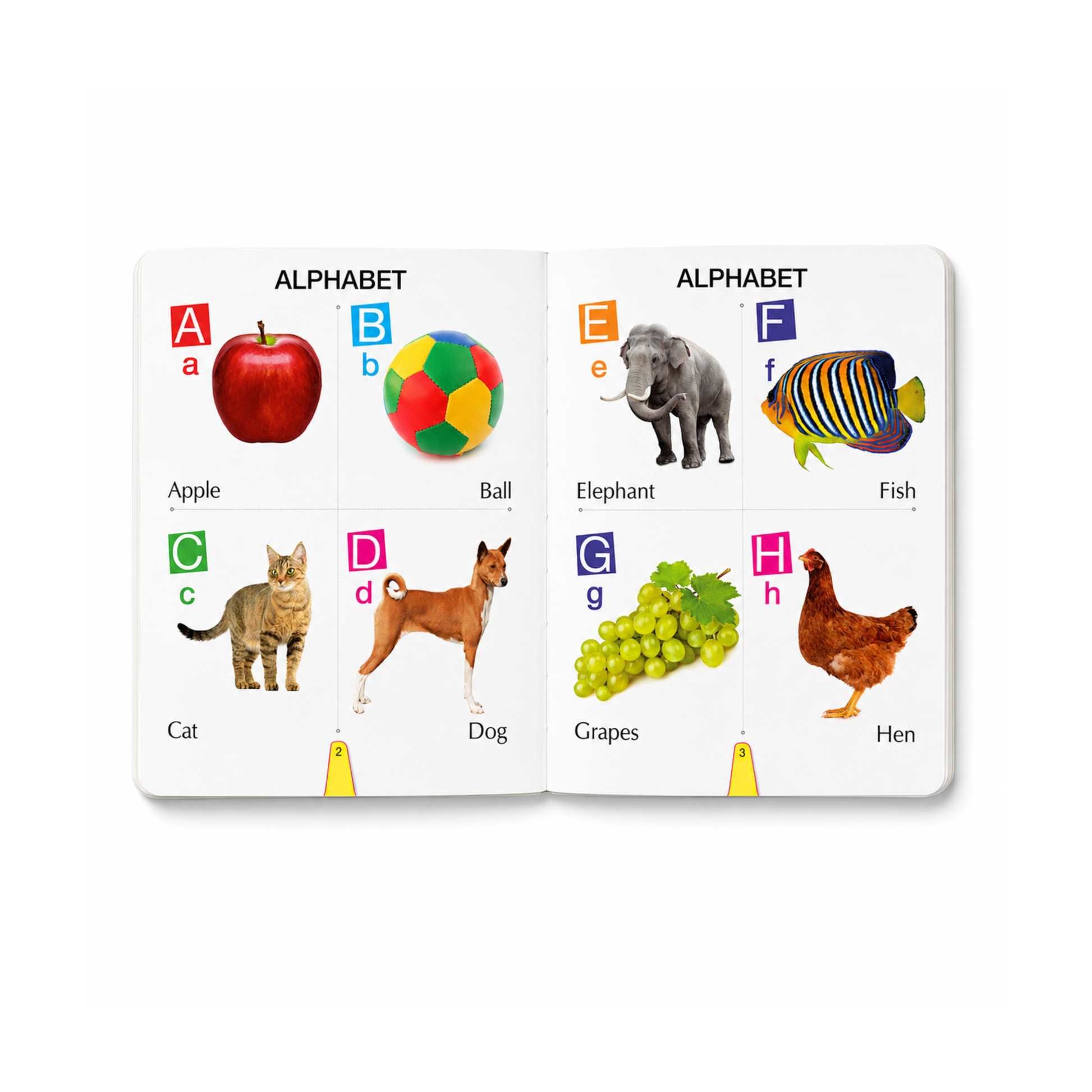 Big Board Book of Four in One inside pages showing alphabet and animals sections for early learning
