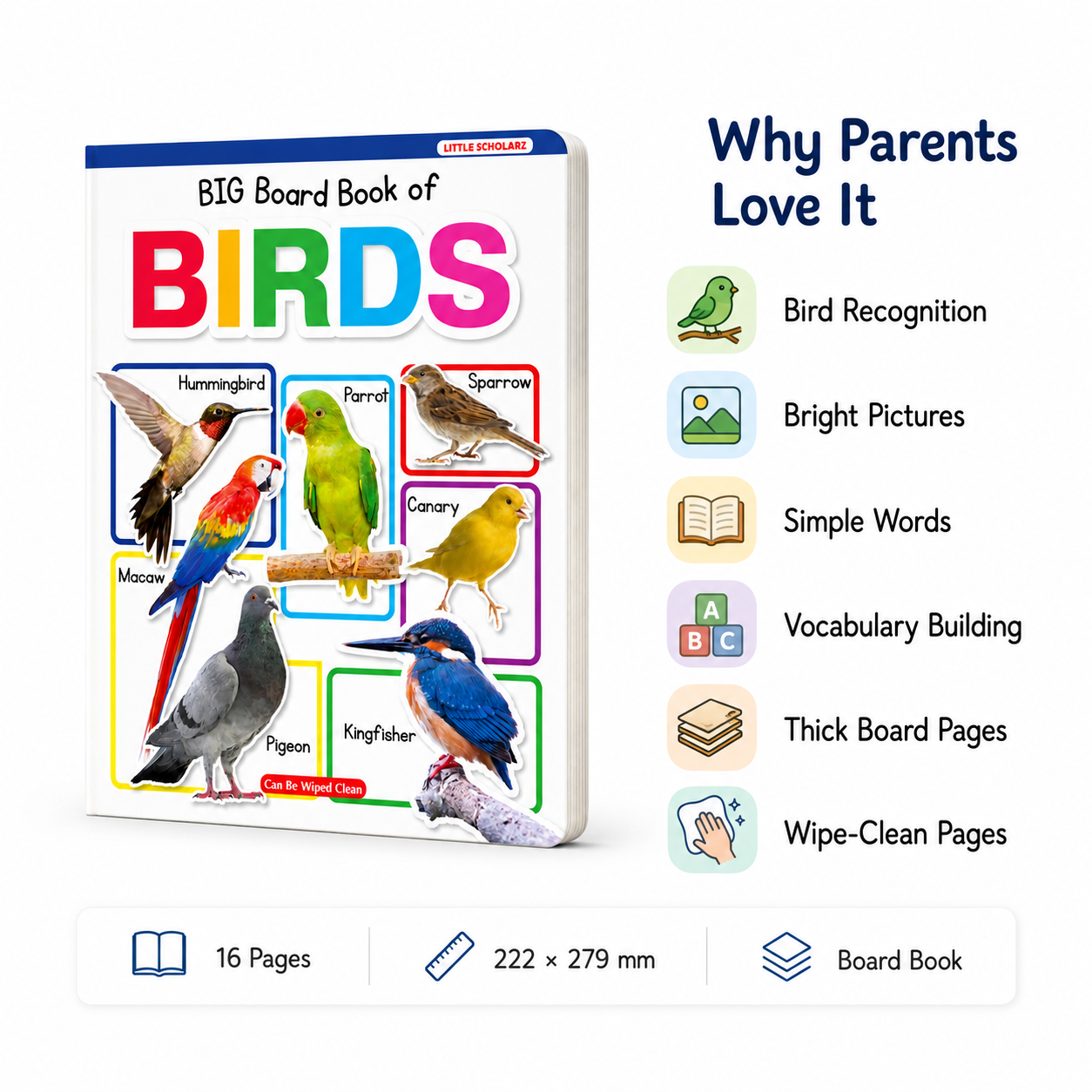 Big Board Book of Birds features — bird recognition bright pictures simple words vocabulary building thick board pages wipe clean 16 pages