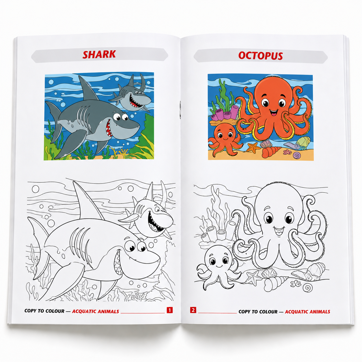 Aquatic Animals Copy to Colour Book for Kids