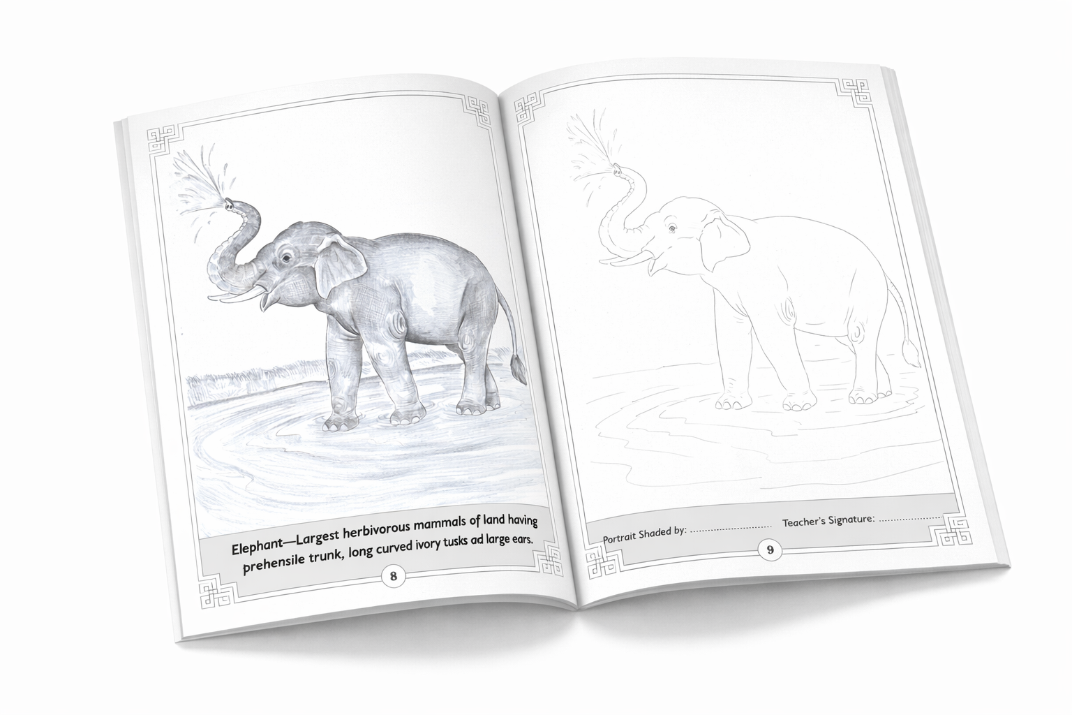 ANIMALS- Learn Pencil Shading Portraits