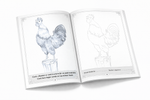 BIRDS- Learn Pencil Shading Portraits