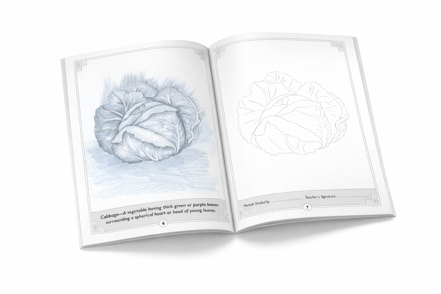 FRUITS AND VEGETABLES- Learn Pencil Shading Portraits