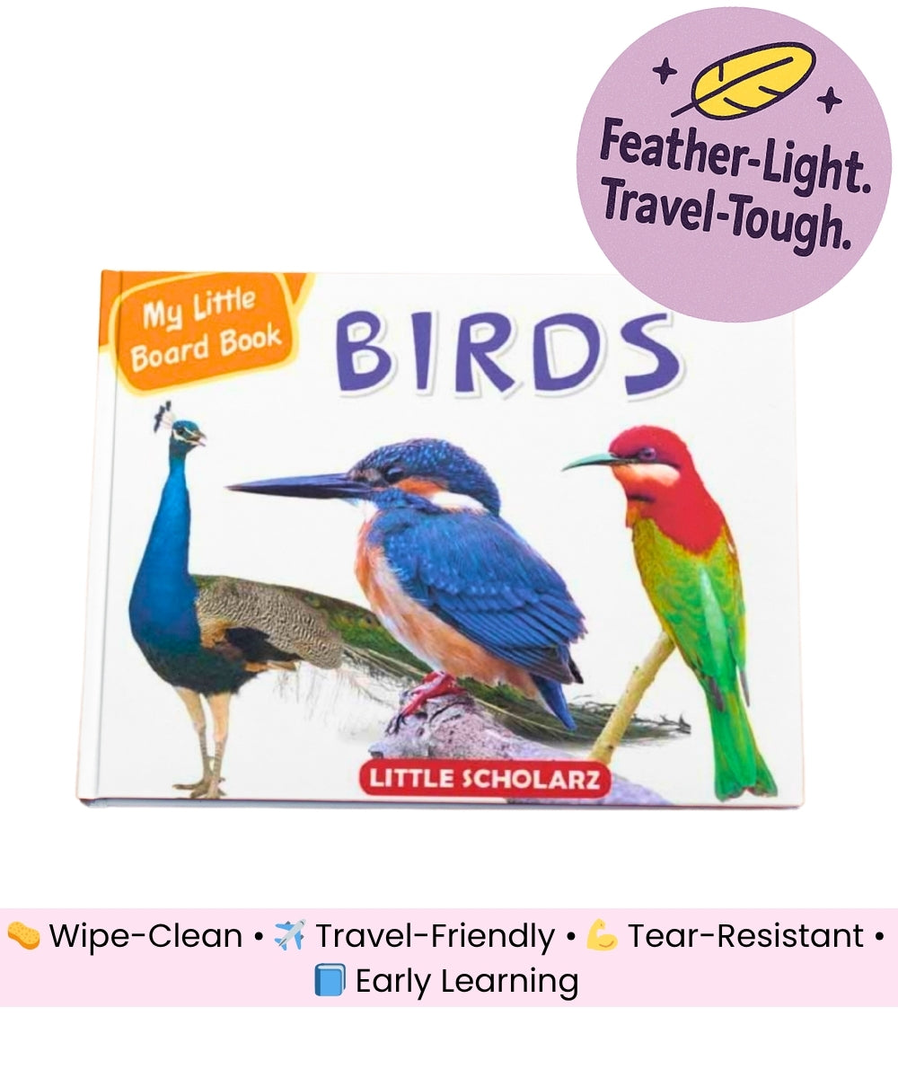 My Little Board Book of Birds