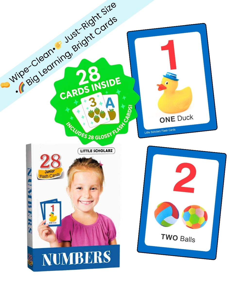 Numbers Junior Flash Cards by Little Scholarz — 28 junior number flash cards showing cards 1 and 2 with real-life images, hardbound wipe and reuse ages 2–5