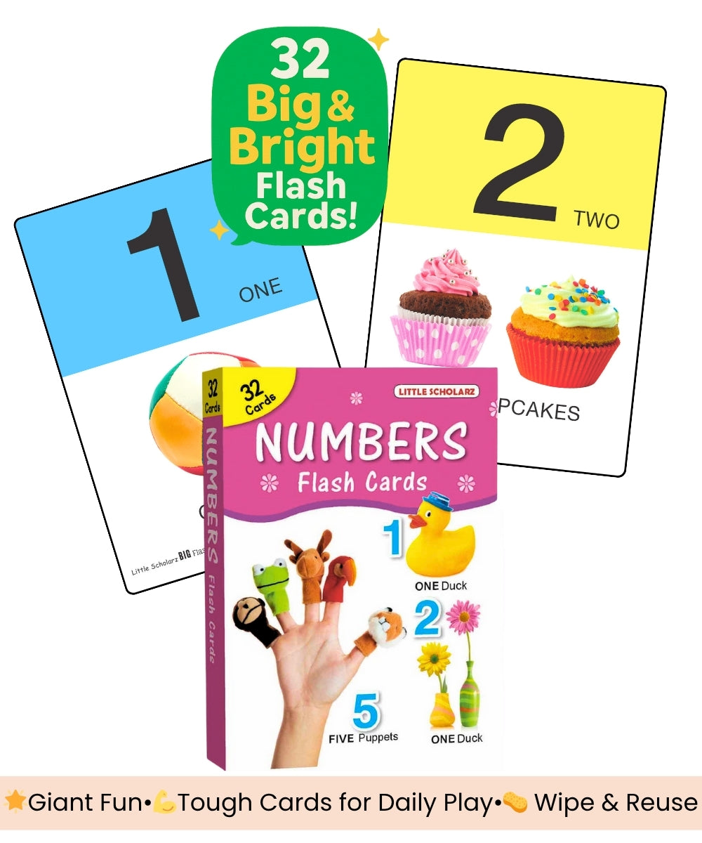 Numbers Big Flash Cards by Little Scholarz — 32 big and bright large number flash cards showing cards 1 and 2 with real-life images, hardbound wipe and reuse ages 2–6
