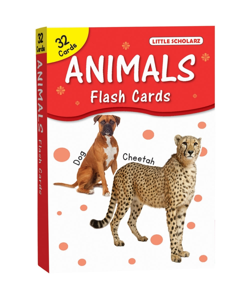 Animals- Big Flash Cards