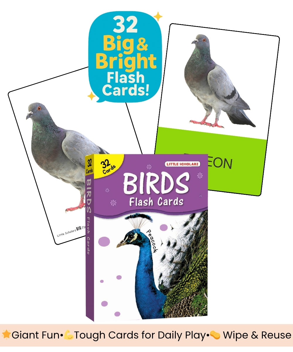 Birds Big Flash Cards by Little Scholarz — 32 big and bright large bird flash cards showing pigeon card sample, hardbound wipe and reuse ages 2–6
