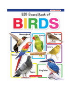 Big Board Book of Birds