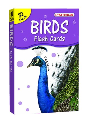 Big Flash Cards Birds