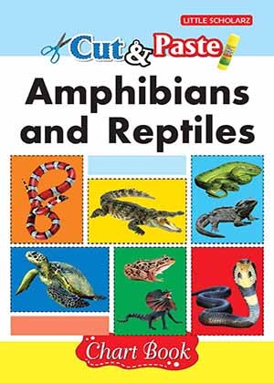 Cut & Paste - Amphibians And Reptiles