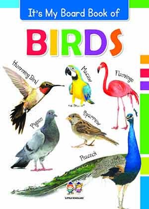 It's My Big Board Book of BIRDS