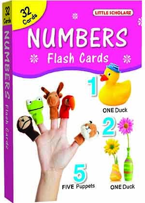 Big Flash Cards Numbers